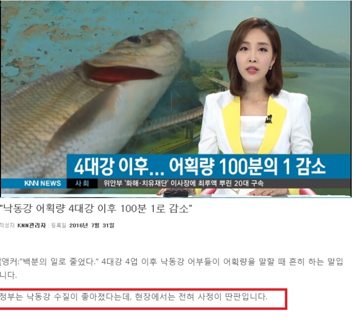 낙동강 어획량 4대강 이후 100분 1로 감소 | 인스티즈