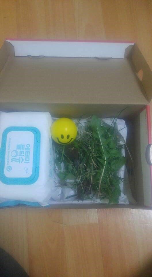 중고나라 풀세트 판매 | 인스티즈