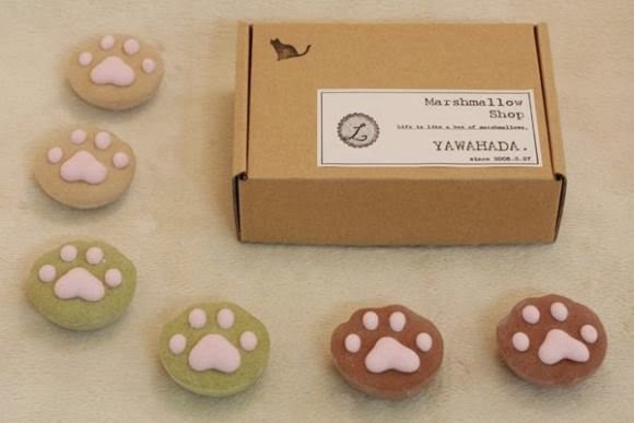 일본의 고양이 마쉬멜로 | 인스티즈