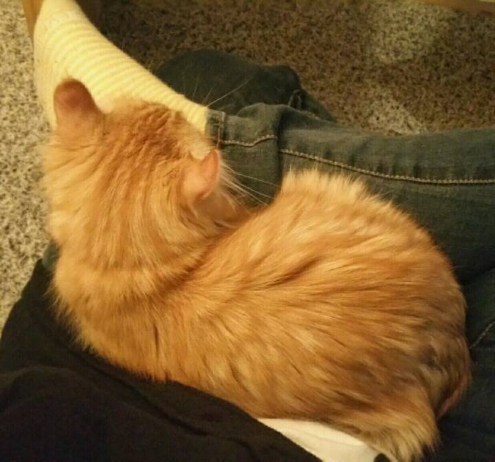 2016년 10월 16일 오하아사 | 인스티즈