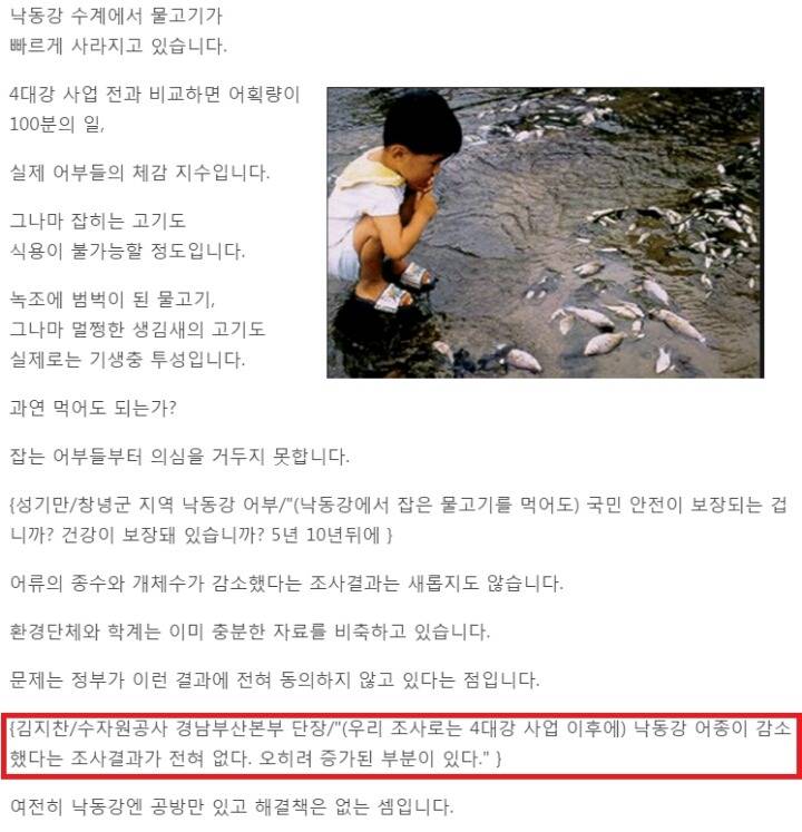 낙동강 어획량 4대강 이후 100분 1로 감소 | 인스티즈