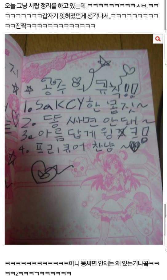 공주의 규칙 | 인스티즈