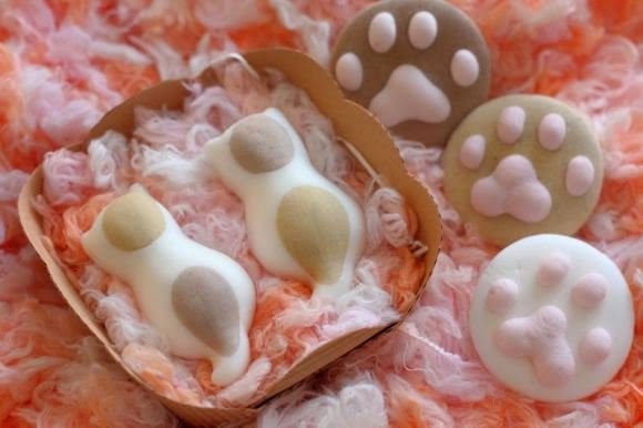 일본의 고양이 마쉬멜로 | 인스티즈