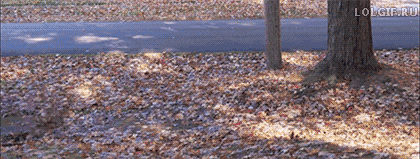 기계가 인간의 노동을 대체하고 있는 현장 | 인스티즈