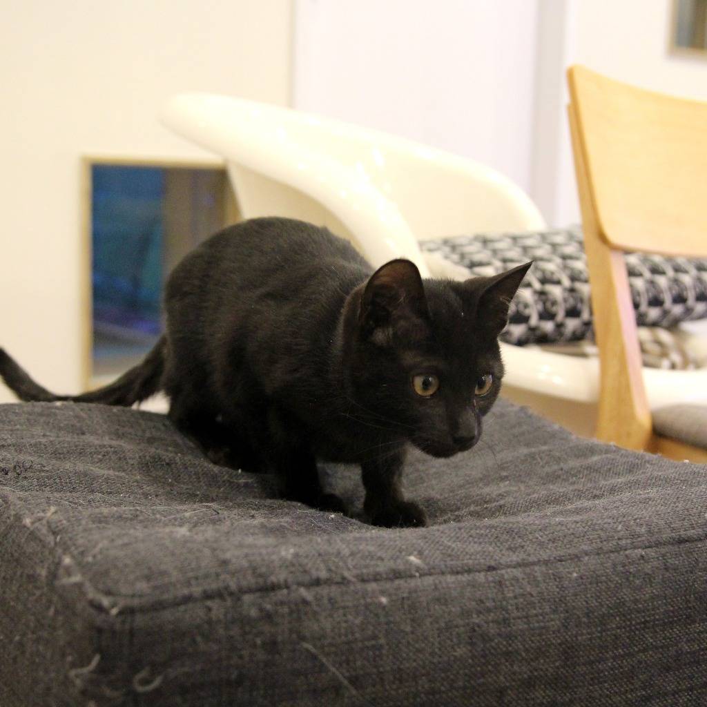 우리 깜둥이보고 가시죠ㅎ | 인스티즈