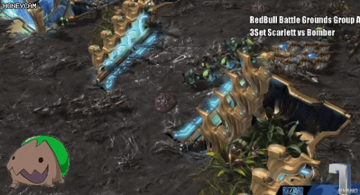 맹독충 레전드.gif | 인스티즈