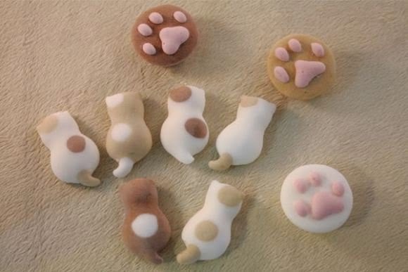 일본의 고양이 마쉬멜로 | 인스티즈