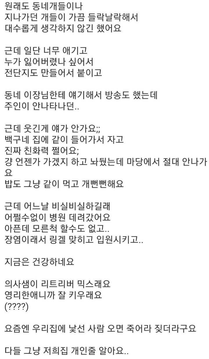 모르는 개가 들어와서 살아요 | 인스티즈