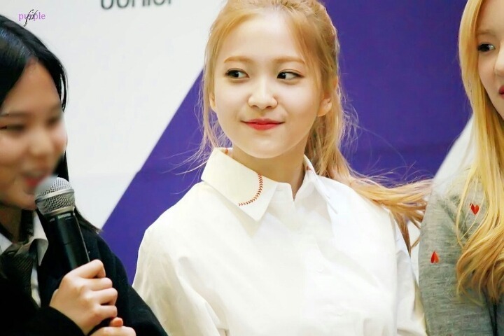 ㅎㅂㅎ 갈리는 꼬부기상 | 인스티즈