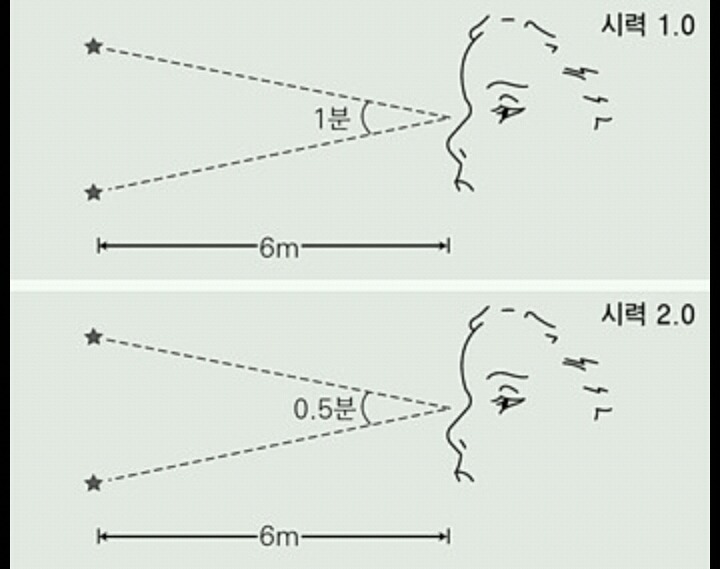 대놓고 유전빨이다 vs 환경요인이 더 크다 | 인스티즈