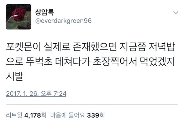 포켓몬이 실제로 존재했으면.twt | 인스티즈