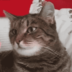 히이이익-!.gif | 인스티즈