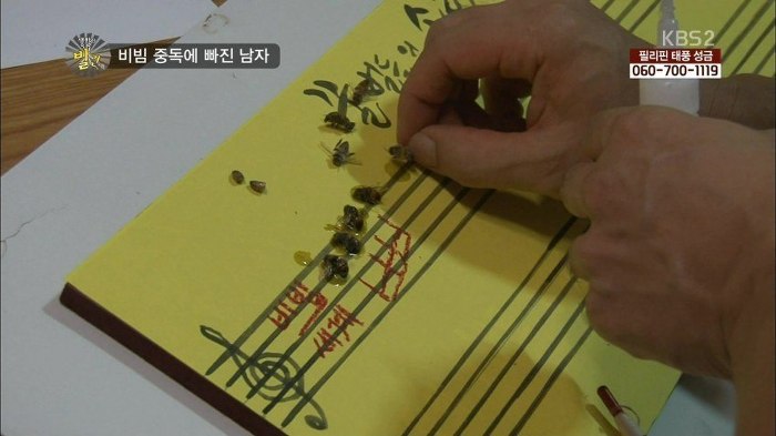 비빔밥성애자 | 인스티즈