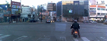 운전자들 심쿵하게 만드는 자라니들.gif | 인스티즈