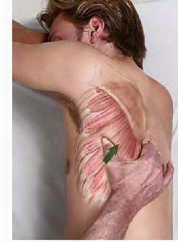 마사지 잘하기.jpg | 인스티즈