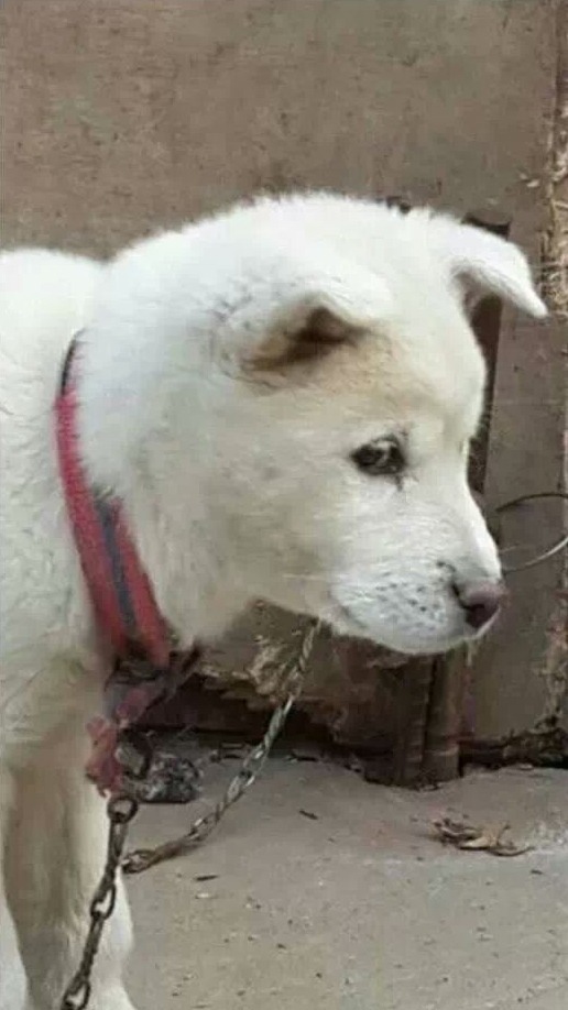 카메라 의식이 너무 심한 신인 아이돌.jpg | 인스티즈