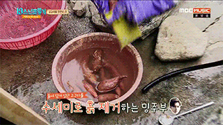 아이돌판 삼시세끼 | 인스티즈