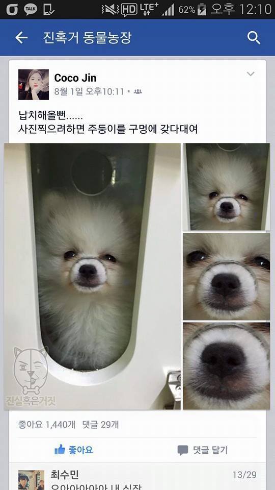 사진만 찍을려고하면 코을 구멍에 넣는 꼬맹이.jpg | 인스티즈