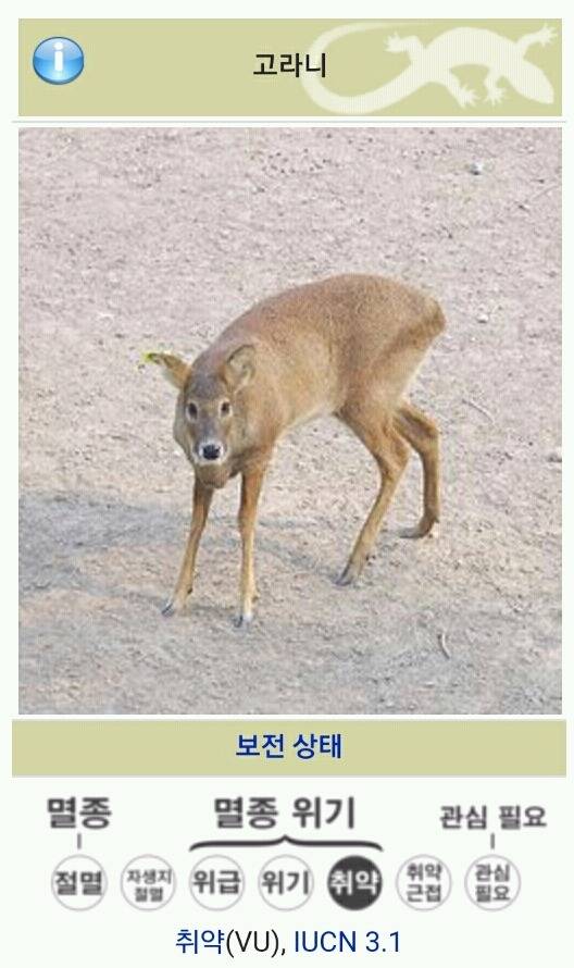 우리나라엔 흔하지만 전세계적으로는 멸종위기인 동물 | 인스티즈
