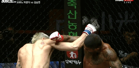 브루노 vs 김승연 | 인스티즈