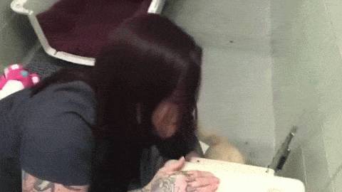 잃어버린 새끼를 다시만난 어미개.gif | 인스티즈