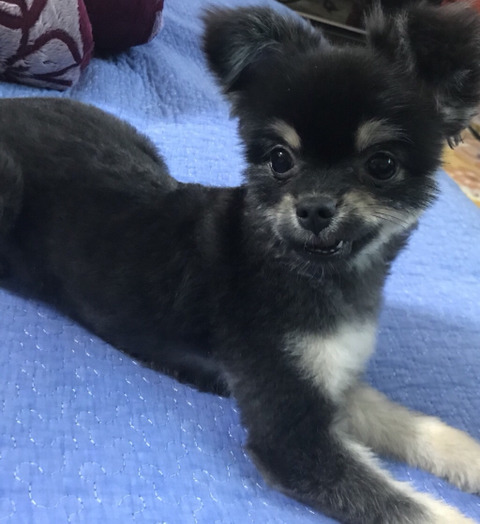 받던 오하영 | 인스티즈