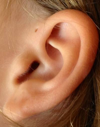귀 옆에 구멍 | 인스티즈