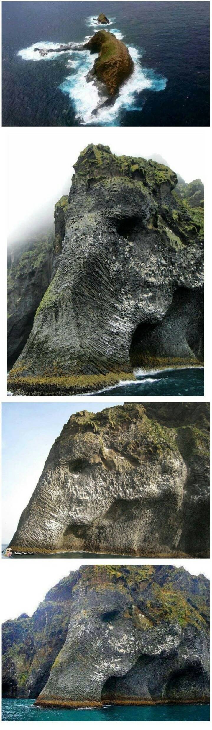 아이슬란드의 코끼리 섬.jpg | 인스티즈