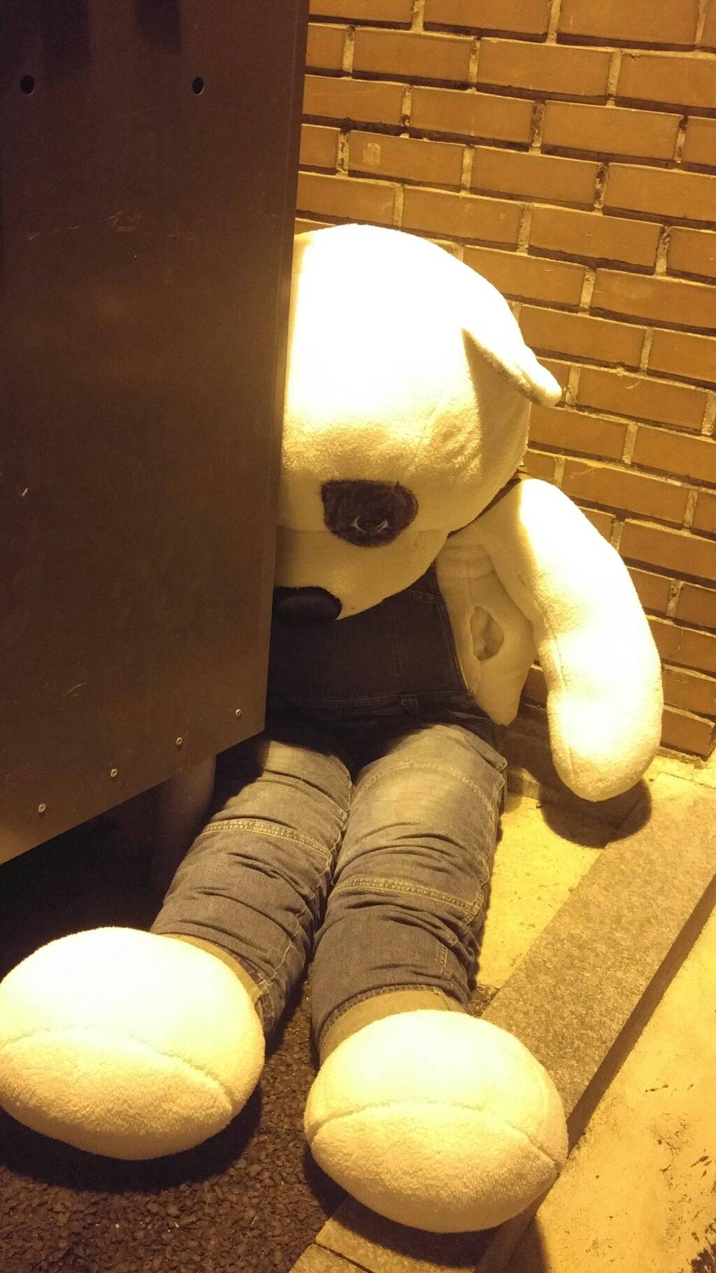 주인이 날 버렸어 ㅠㅜ | 인스티즈