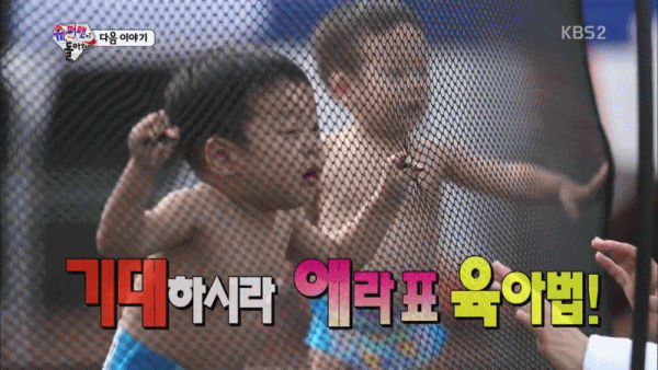 [슈퍼맨이돌아왔다] 서준이가 그물을 보면 하는 행동 | 인스티즈