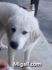 사람의 표정이 보임.gif | 인스티즈