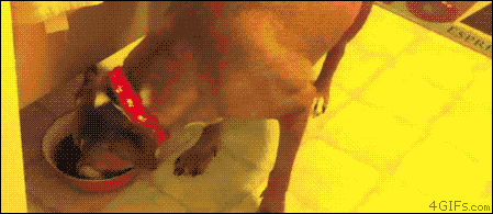 걸리면 죽는다 .gif | 인스티즈