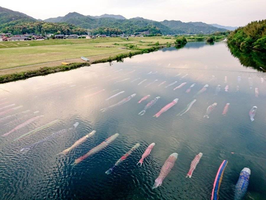 일본의 수중 잉어 깃발 | 인스티즈