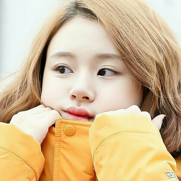 채영이 기여어 | 인스티즈