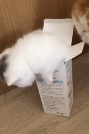 깨우지 마라.. | 인스티즈