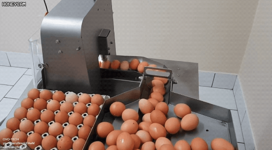 계란 껍질 까는 기계 | 인스티즈