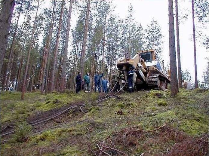 사람들이 평화롭다고 하는 나라.gif | 인스티즈