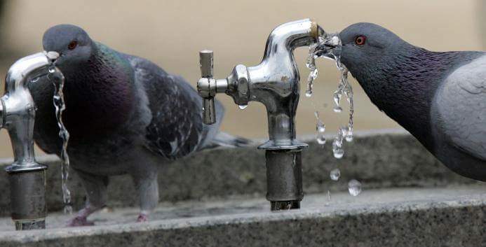 음수대에서 물마시면 안되는 이유.reason | 인스티즈