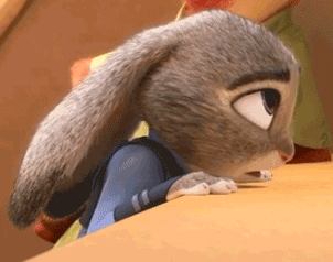 주토피아 보고나면 짱덕된다는 동물.gif | 인스티즈