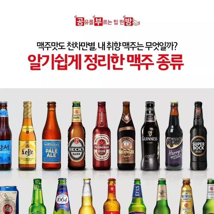 알기쉬운 맥주의종류 | 인스티즈