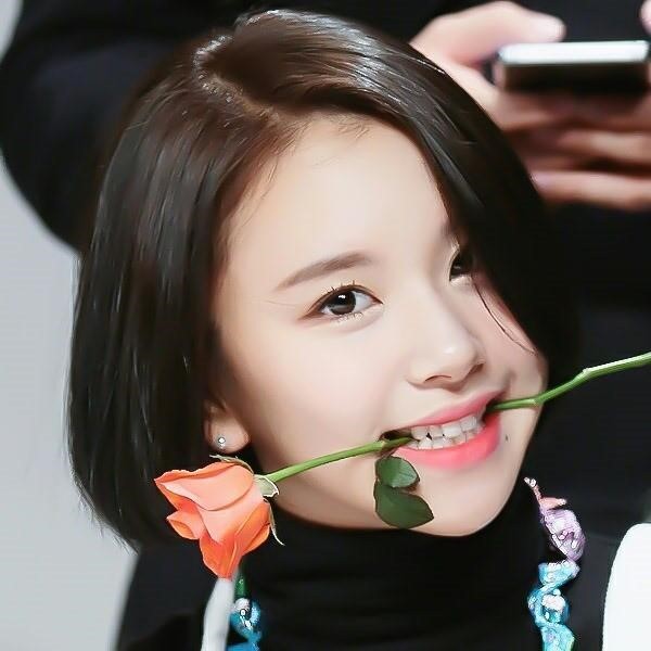 채영이 기여어 | 인스티즈