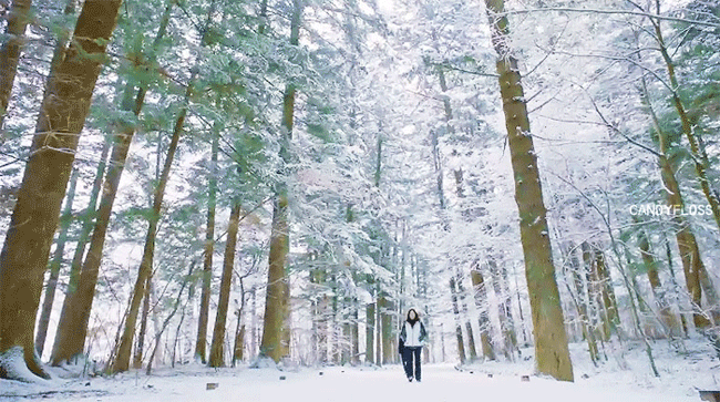 벌써 방영한지 1주년 된 겨울 드라마 | 인스티즈