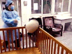 탈출하는 팬더 | 인스티즈