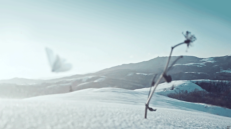 벌써 방영한지 1주년 된 겨울 드라마 | 인스티즈