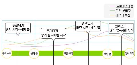 생리주기로 예뻐지는 방법 | 인스티즈