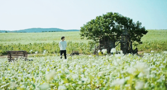 벌써 방영한지 1주년 된 겨울 드라마 | 인스티즈
