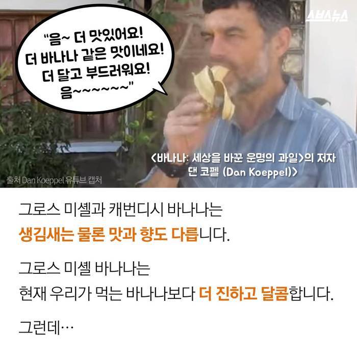  바나나 괴담의 진실 | 인스티즈