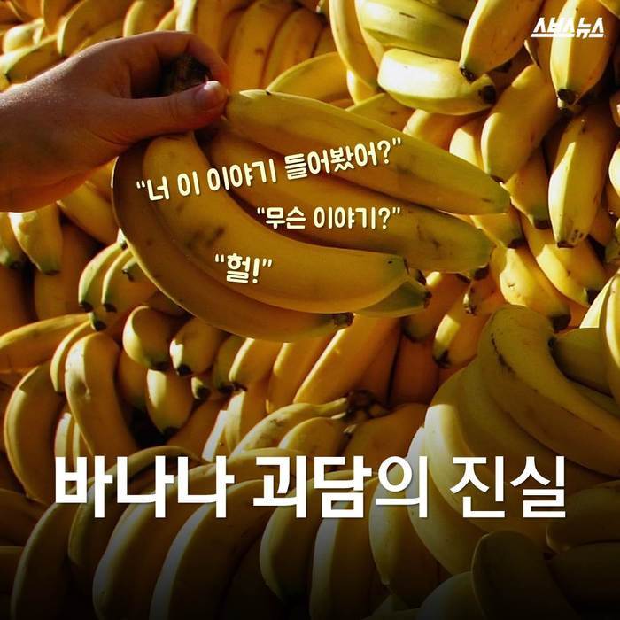  바나나 괴담의 진실 | 인스티즈