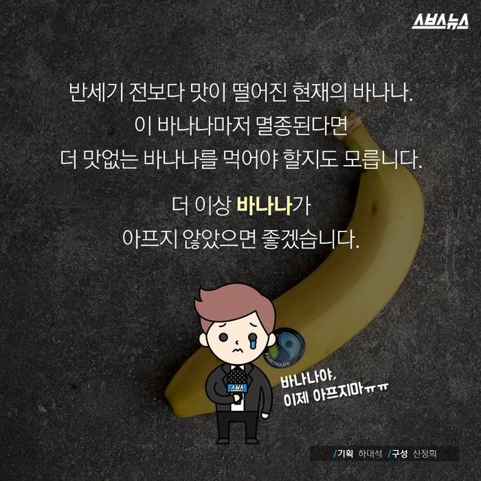  바나나 괴담의 진실 | 인스티즈