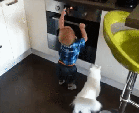 하지마 너 다쳐 .gif | 인스티즈